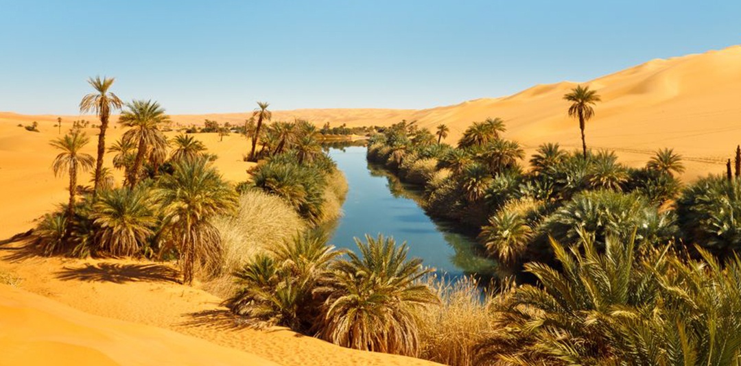 acqua nelle oasi nel deserto_1