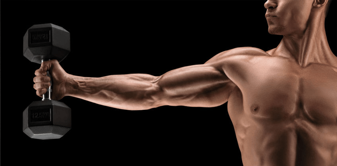 Cosa accade ai muscoli quando lavorano?