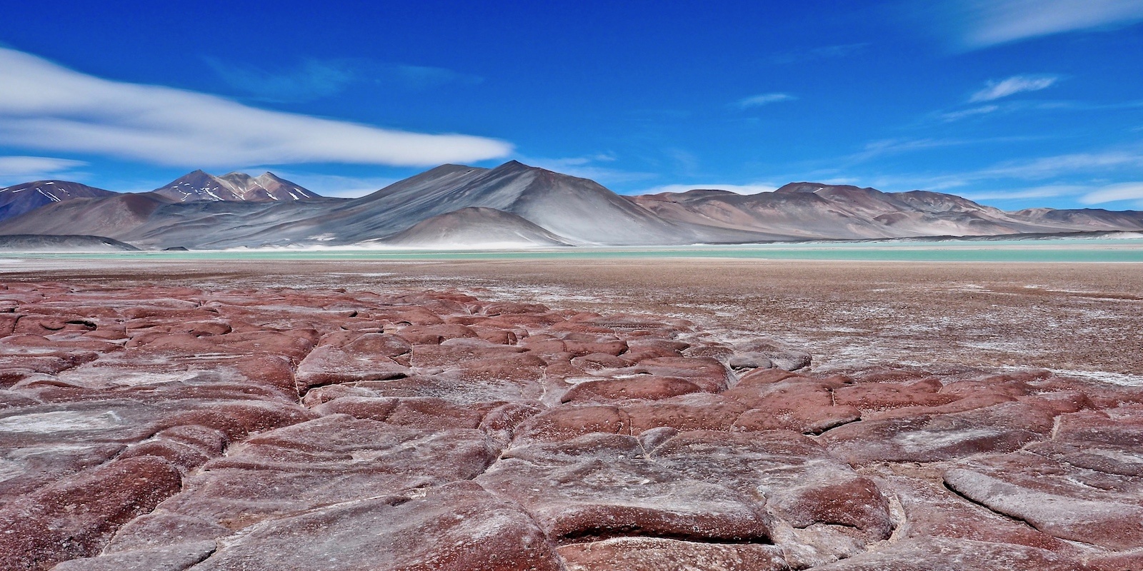 Il deserto di Atacama dove l’acqua non c’è