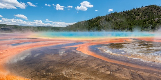 Geyser Yellowstone