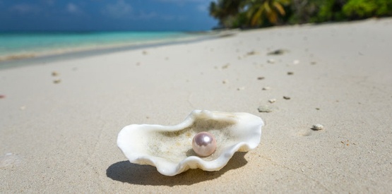 open shell with a pearl on tropical sandy beach