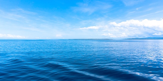 Da dove viene l’acqua della Terra?