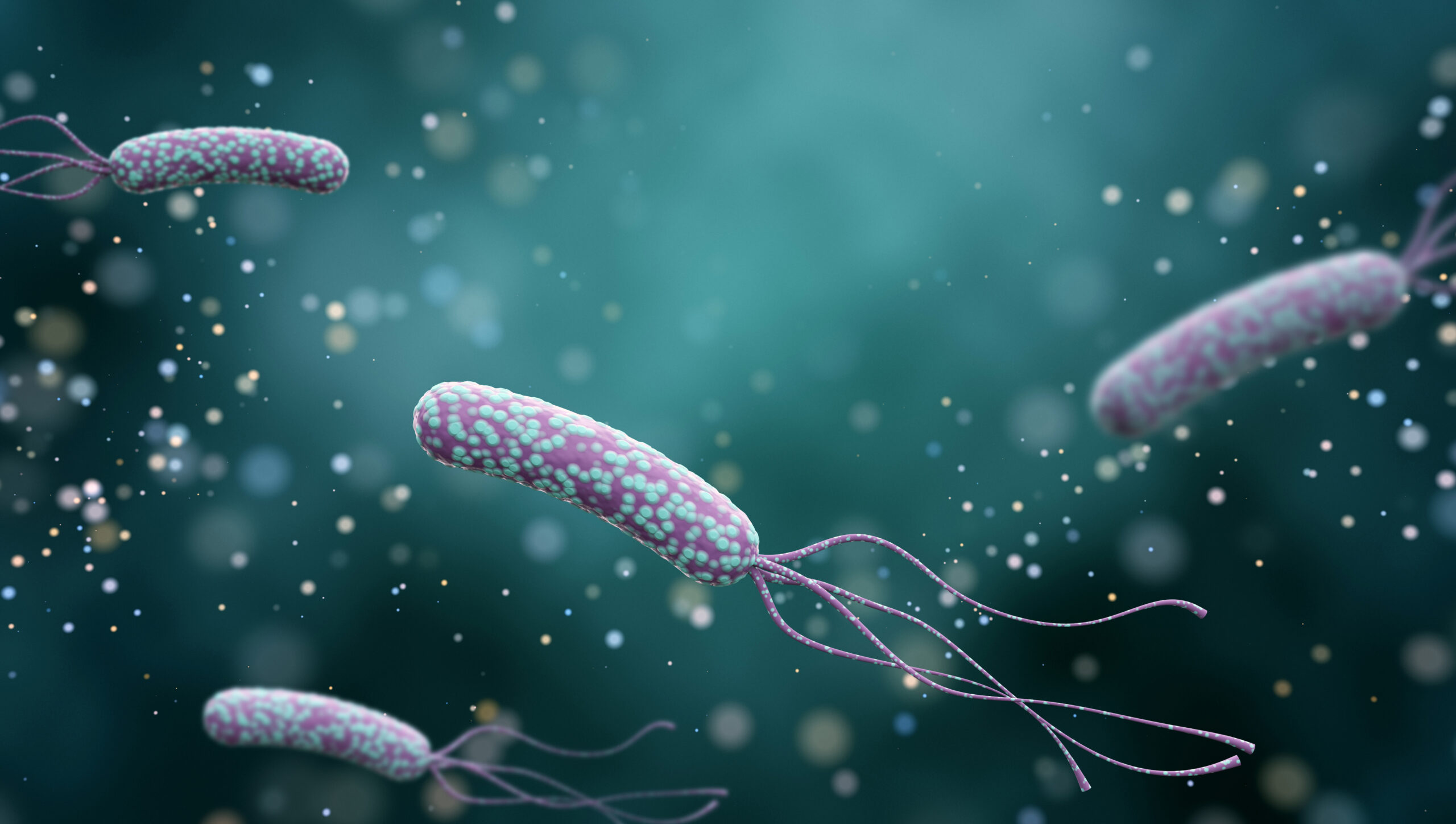 Illustration,Of,Helicobacter,Pylori,Bacteria,On,An,Abstract,Color,Background.