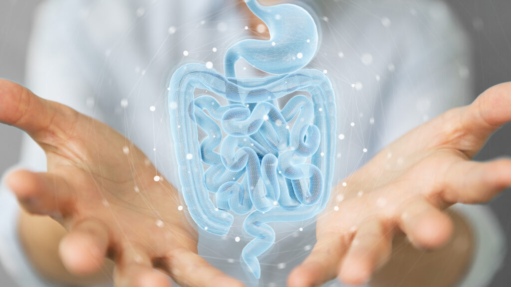 sindrome-da-intestino-permeabile