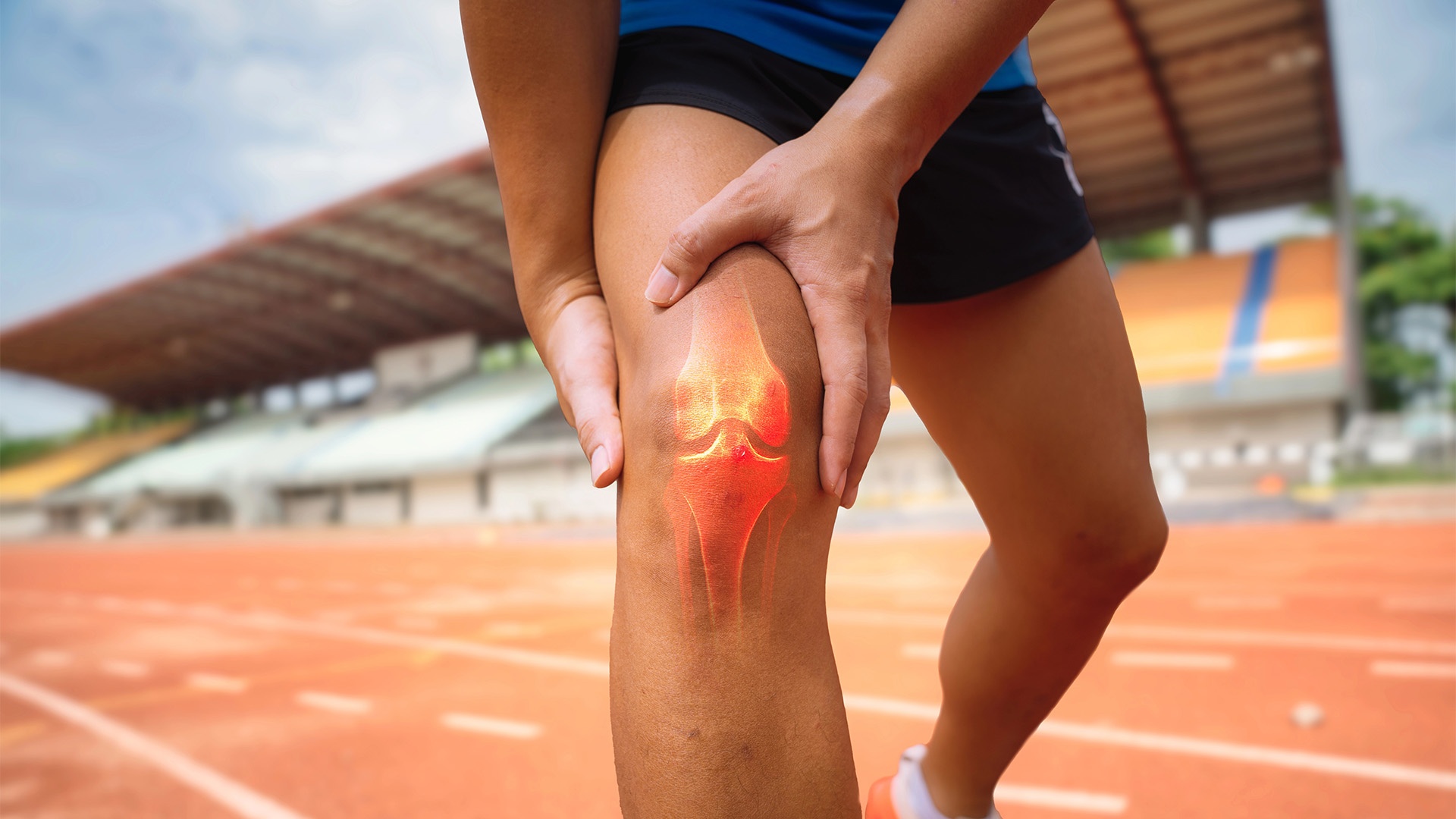 rigenerare-la-cartilagine